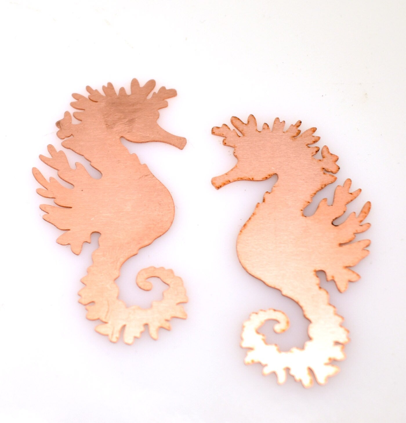 Copper Blanks - 564# Seahorse Copper blank - 24Gauge, Solid
