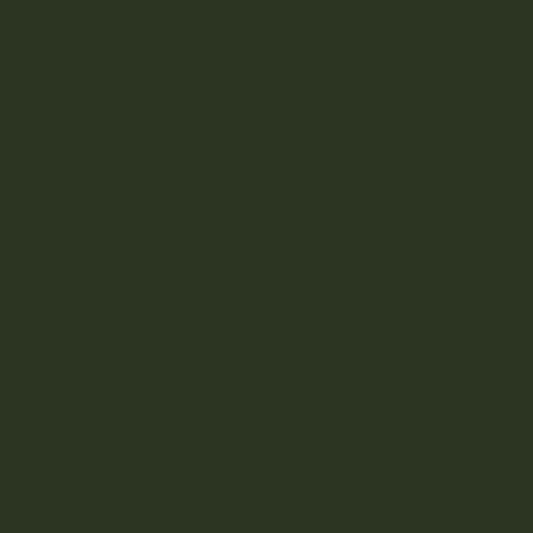 Pearly's Enamel Powder No. 112 Opaque Glitter Green 3oz. (85gr.) - Lead Free Great for torch/kiln/Cloisonné and Wet Packing Enameling