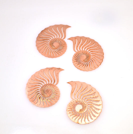 Copper - 563# Shell Copper blank - 24Gauge, Solid