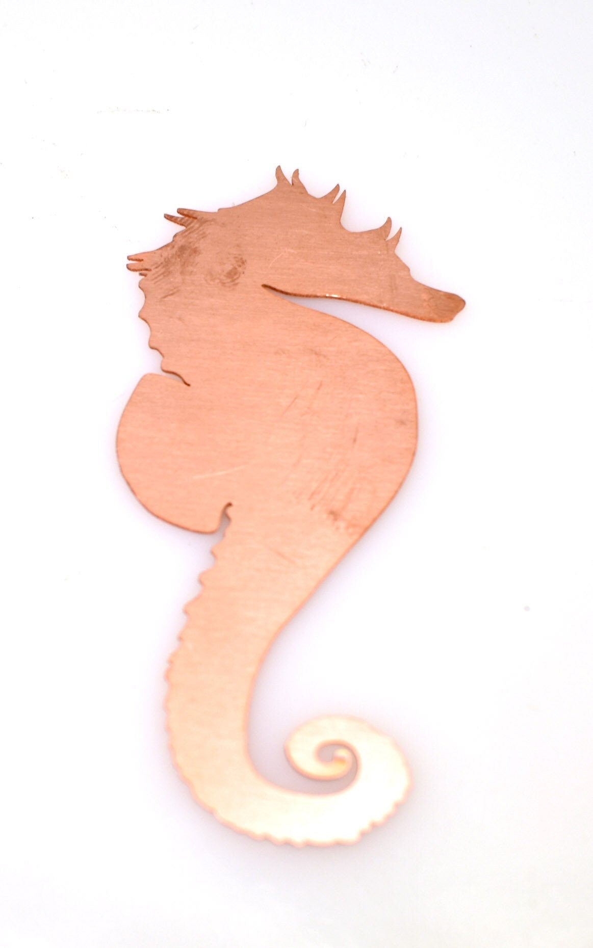 Copper Blanks - 562# Seahorse Copper blank - 24Gauge, Solid