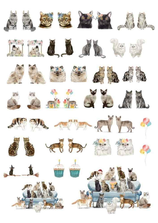 Cute Cats Ceramic, Enamel & Glass Fusing Decal, Waterslide Decal Sheet - 1012