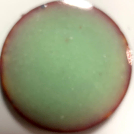 Pearly's Enamel Powder No. 465 Opaque Light Pale Green 3oz. (85gr.) Great for torch/kiln/Cloisonné and Wet Packing Enameling