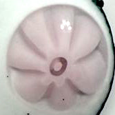 Glass Murrini – 1oz (28g) Mixed Slices | COE 104 | Lampwork, Enameling, Fusing, Jewelry Supplies - M612 - between 90-140 pcs 5-6mm